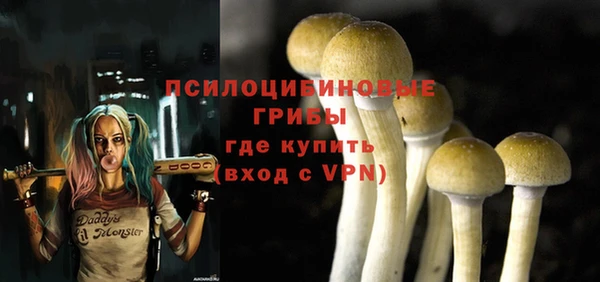 герыч Аркадак