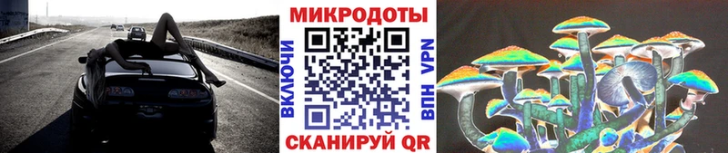Псилоцибиновые грибы MAGIC MUSHROOMS  закладка  hydra ссылка  Сухой Лог 
